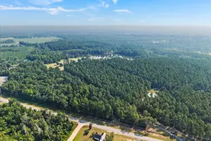 2224 Chainey Briar Rd, Metter, GA 30439 - Photo 121