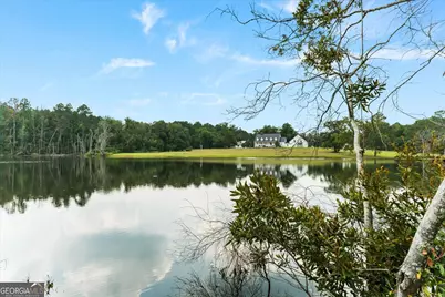 2224 Chainey Briar Rd, Metter, GA 30439 - Photo 41