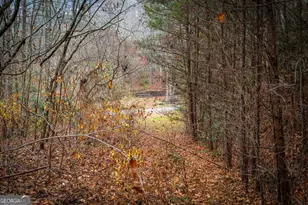 208 Bullen Gap Rd, Blue Ridge, GA 30513 - Photo 65