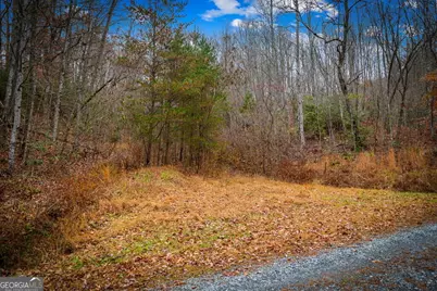 208 Bullen Gap Road, Blue Ridge, GA 30513 - Photo 57
