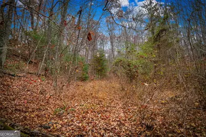 208 Bullen Gap Road, Blue Ridge, GA 30513 - Photo 61