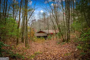 208 Bullen Gap Rd, Blue Ridge, GA 30513 - Photo 47