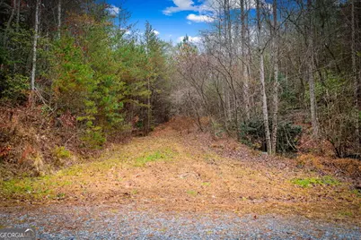 208 Bullen Gap Road, Blue Ridge, GA 30513 - Photo 63