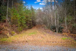 208 Bullen Gap Rd, Blue Ridge, GA 30513 - Photo 63