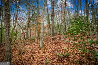 208 Bullen Gap Road, Blue Ridge, GA 30513 - Photo 69