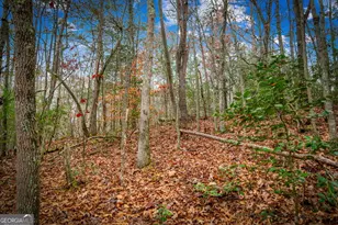 208 Bullen Gap Rd, Blue Ridge, GA 30513 - Photo 69