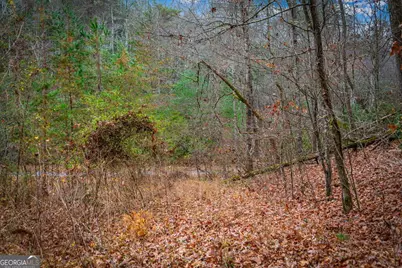 5.97Ac Bullen Gap Road, Blue Ridge, GA 30513 - Photo 11