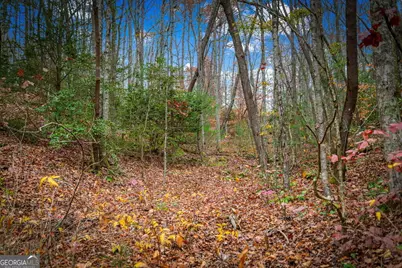 5.97Ac Bullen Gap Road, Blue Ridge, GA 30513 - Photo 19