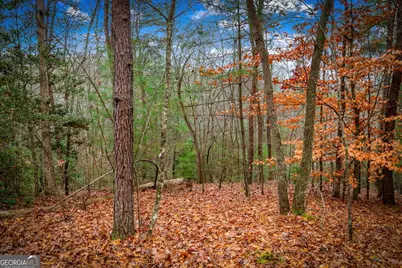 5.97Ac Bullen Gap Road, Blue Ridge, GA 30513 - Photo 23