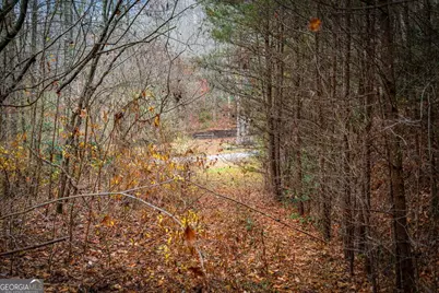 5.97Ac Bullen Gap Road, Blue Ridge, GA 30513 - Photo 17
