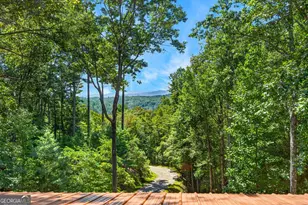 161 Walkabout Creek Rd, Morganton, GA 30560 - Photo 41