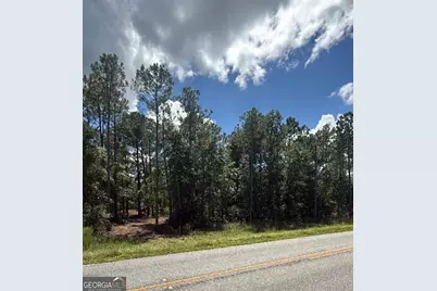 0 Fountain Road, Eastman, GA 31023 - Photo 1