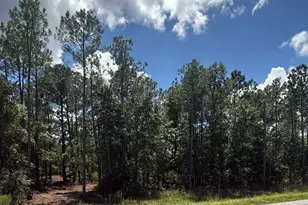 0 Fountain Rd, Eastman, GA 31023 - Photo 1