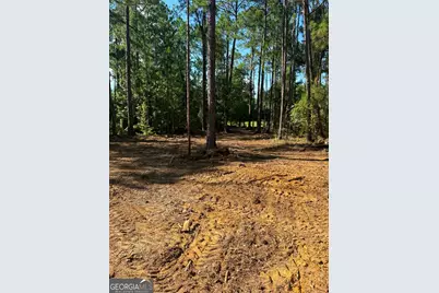 0 Fountain Road, Eastman, GA 31023 - Photo 3