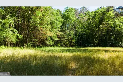 0 Calhoun Falls Highway, Elberton, GA 30635 - Photo 13
