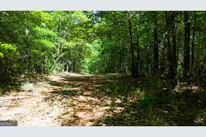 0 Calhoun Falls Highway, Elberton, GA 30635 - Photo 9