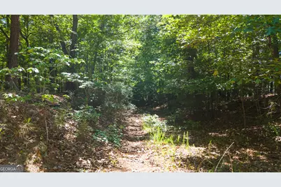 0 Calhoun Falls Highway, Elberton, GA 30635 - Photo 11