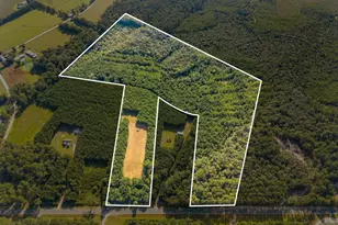 0 Hwy 67, Pembroke, GA 31321 - Photo 1