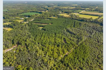 0 Hwy 67, Pembroke, GA 31321 - Photo 9