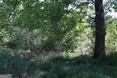 11334 Highway 337, Summerville, GA 30747 - Photo 25