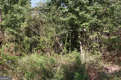 11334 Highway 337, Summerville, GA 30747 - Photo 33
