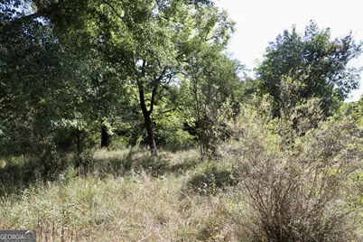 11334 Highway 337, Summerville, GA 30747 - Photo 19