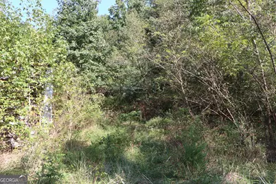 11334 Highway 337, Summerville, GA 30747 - Photo 27