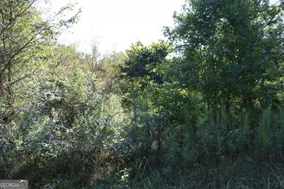 11334 Highway 337, Summerville, GA 30747 - Photo 29