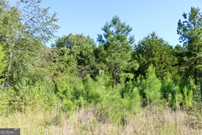 11334 Highway 337, Summerville, GA 30747 - Photo 11