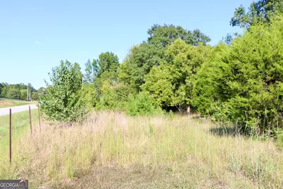 11334 Highway 337, Summerville, GA 30747 - Photo 9