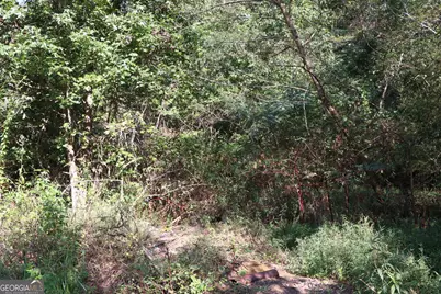 11334 Highway 337, Summerville, GA 30747 - Photo 31