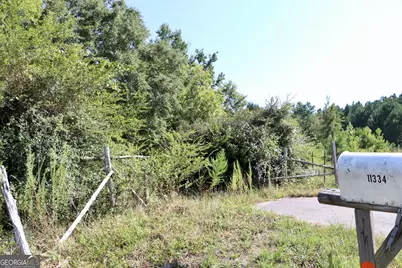 11334 Highway 337, Summerville, GA 30747 - Photo 3