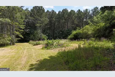 3729 Duncan Bridge Road, Cornelia, GA 30531 - Photo 51
