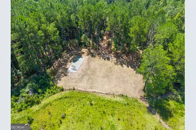 525 Spring Road, Sylvania, GA 30467 - Photo 5