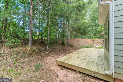 127 Seabreeze Court, Newnan, GA 30265 - Photo 39