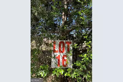 139 Oak Road #LOT 16, Locust Grove, GA 30248 - Photo 1