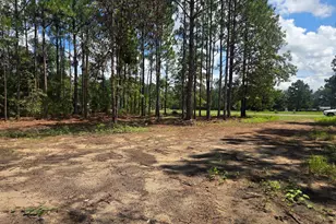 453 Salter Moon Rd, East Dublin, GA 31027 - Photo 3