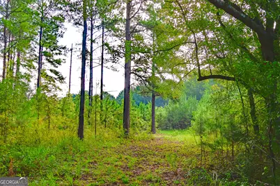 1362 Doyle Road, Sardis, GA 30456 - Photo 21