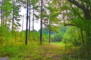 1362 Doyle Rd, Sardis, GA 30456 - Photo 21