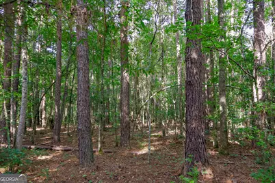 1362 Doyle Road, Sardis, GA 30456 - Photo 37