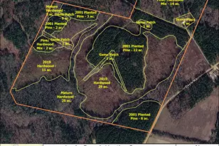 1362 Doyle Rd, Sardis, GA 30456 - Photo 49