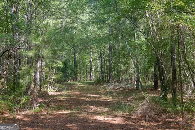 1362 Doyle Road, Sardis, GA 30456 - Photo 43