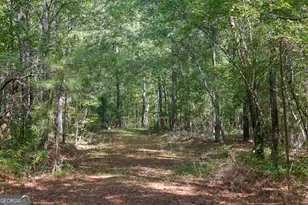 1362 Doyle Rd, Sardis, GA 30456 - Photo 43