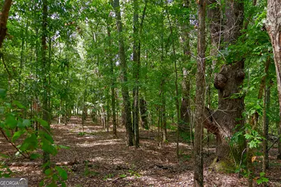 1362 Doyle Road, Sardis, GA 30456 - Photo 41