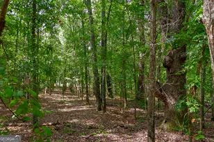 1362 Doyle Rd, Sardis, GA 30456 - Photo 41
