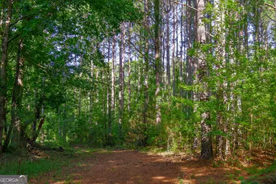 1362 Doyle Road, Sardis, GA 30456 - Photo 31
