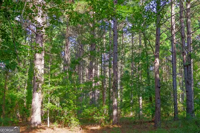 1362 Doyle Road, Sardis, GA 30456 - Photo 23