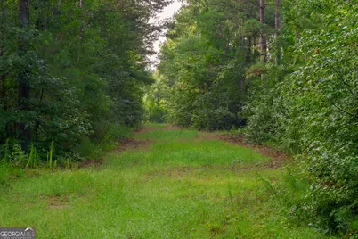 1362 Doyle Road, Sardis, GA 30456 - Photo 17