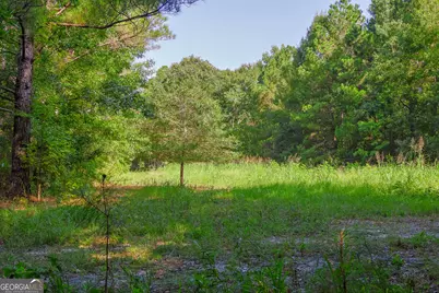 1362 Doyle Road, Sardis, GA 30456 - Photo 29
