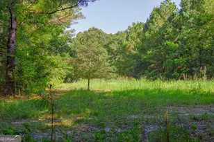 1362 Doyle Rd, Sardis, GA 30456 - Photo 29